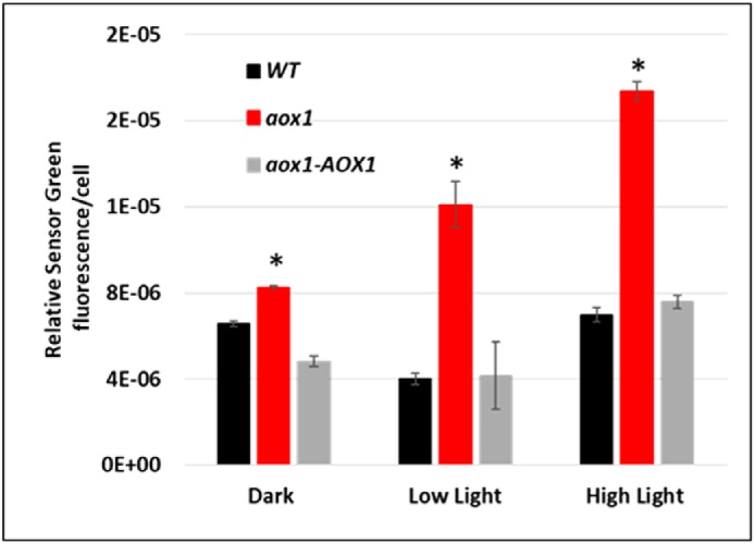 Figure 7.