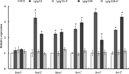 Figure 5