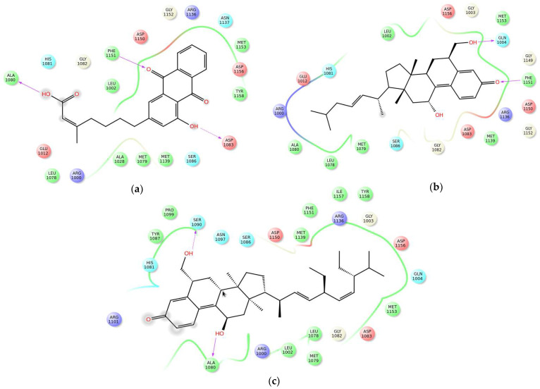 Figure 11