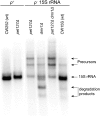 F<sc>igure</sc> 7.—