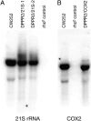 F<sc>igure</sc> 3.—