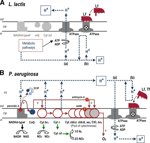 FIG. 4.