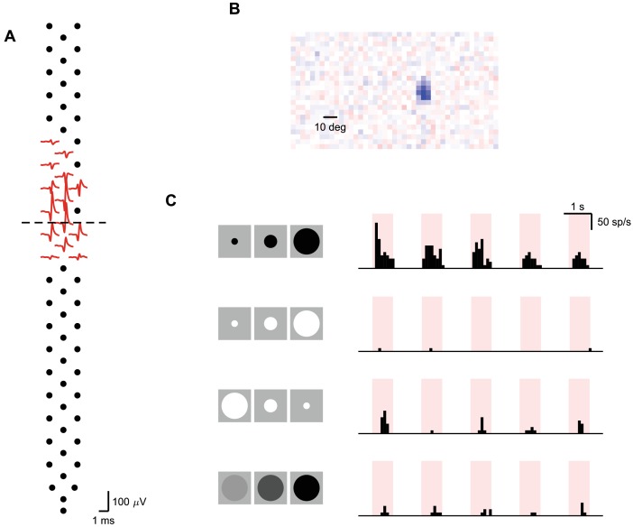 Figure 6—figure supplement 1.