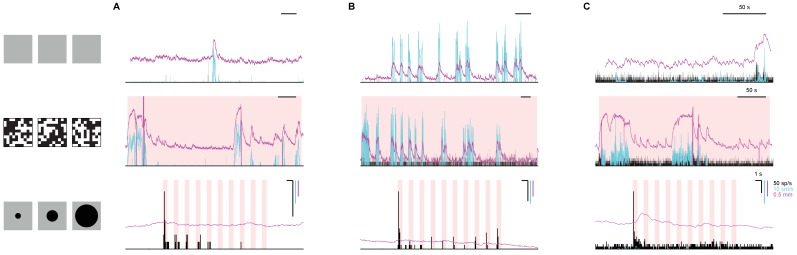 Figure 4—figure supplement 2.