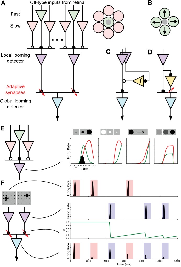 Figure 6.