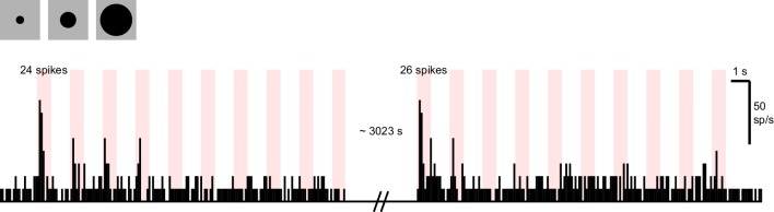 Figure 4—figure supplement 1.