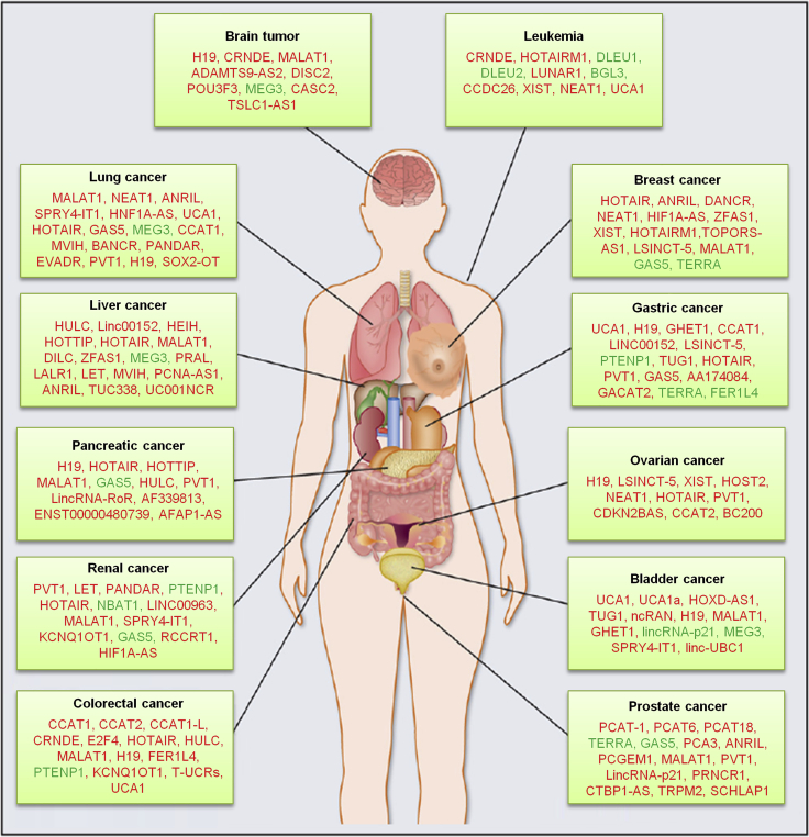 Figure 5