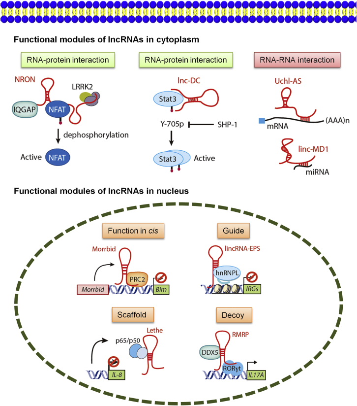 Figure 2