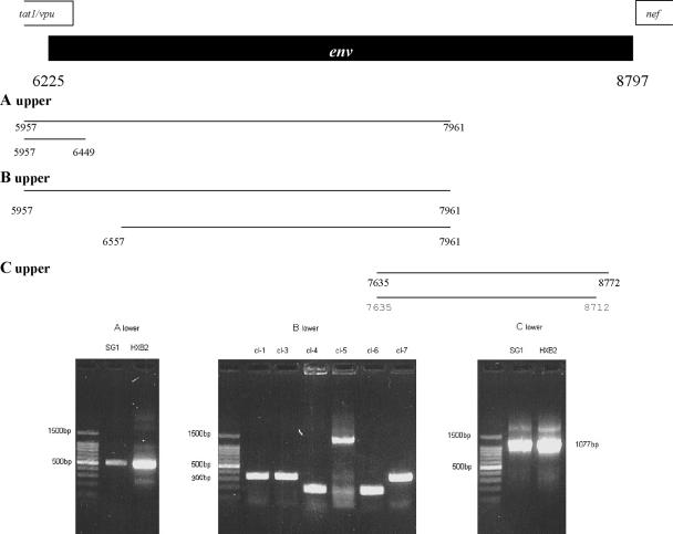 FIG. 3.