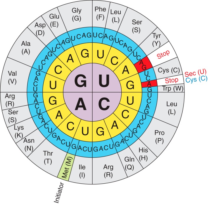 FIGURE 1.