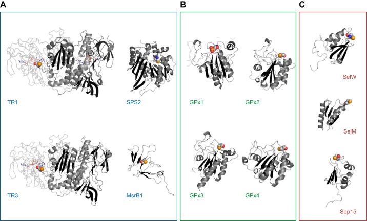 FIGURE 10.