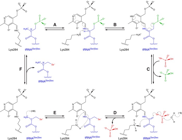 FIGURE 4.