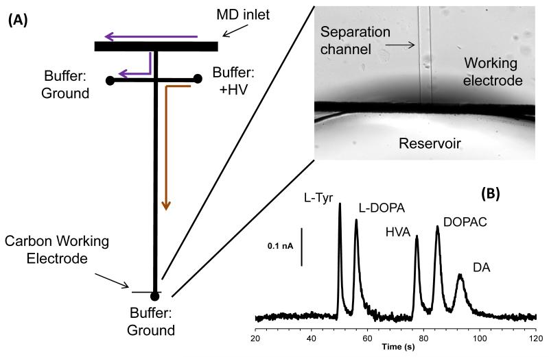 Fig. 10