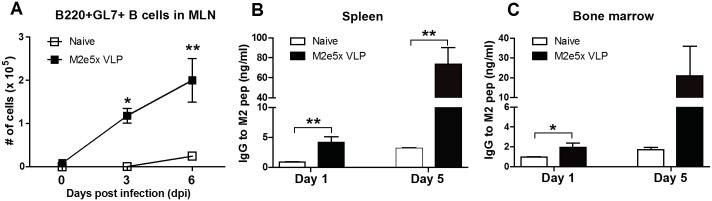 Fig 5