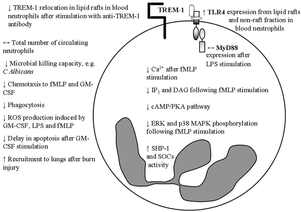 Fig. (1)