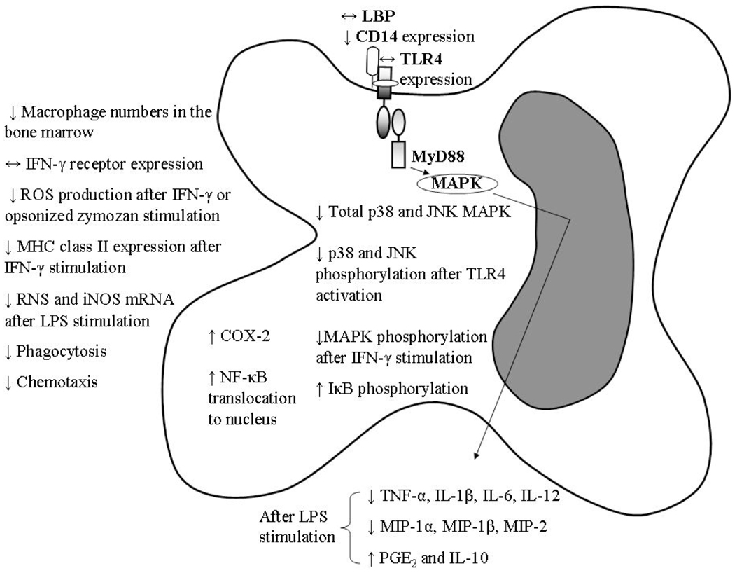 Fig. (2)