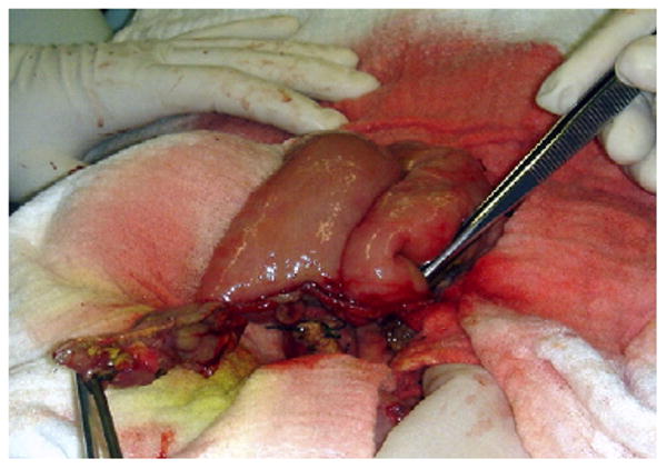 Fig. 4