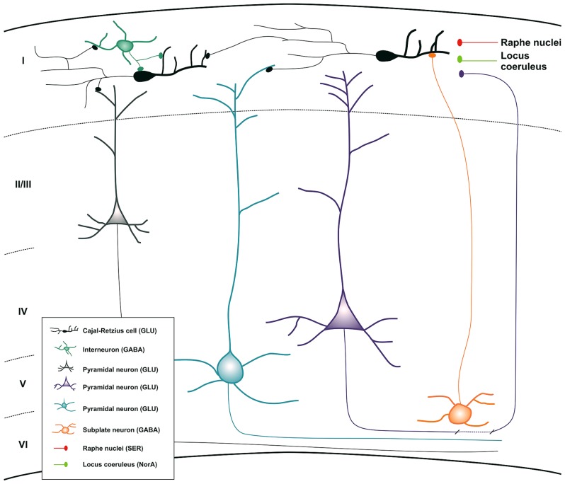 FIGURE 3