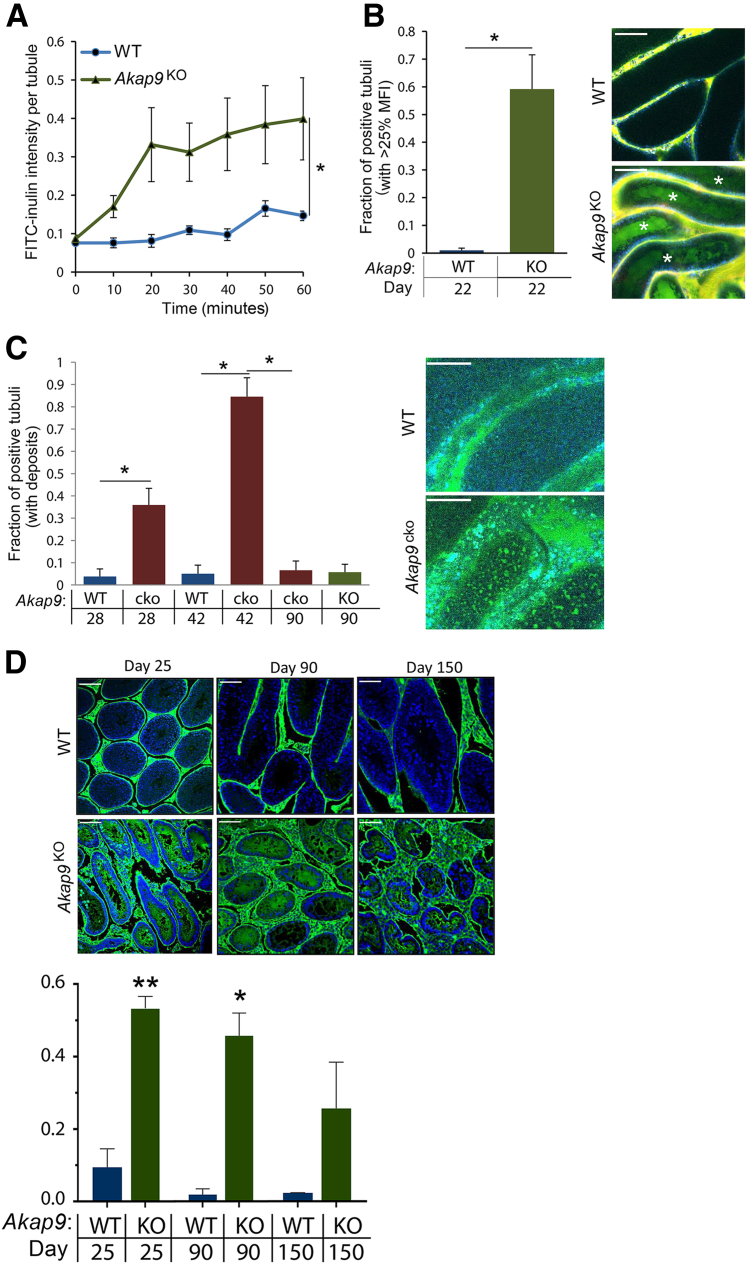 Figure 6