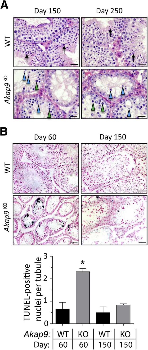 Figure 7