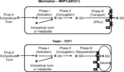 FIG. 6.