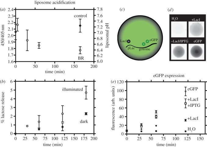 Figure 2.