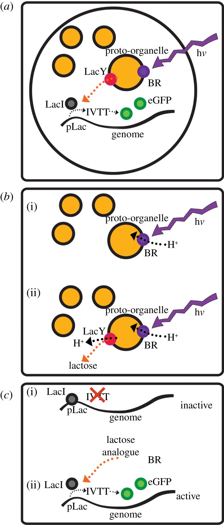 Figure 1.