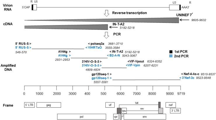 FIGURE 1