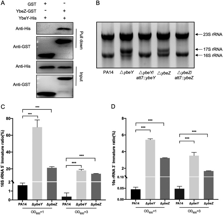 FIG 3