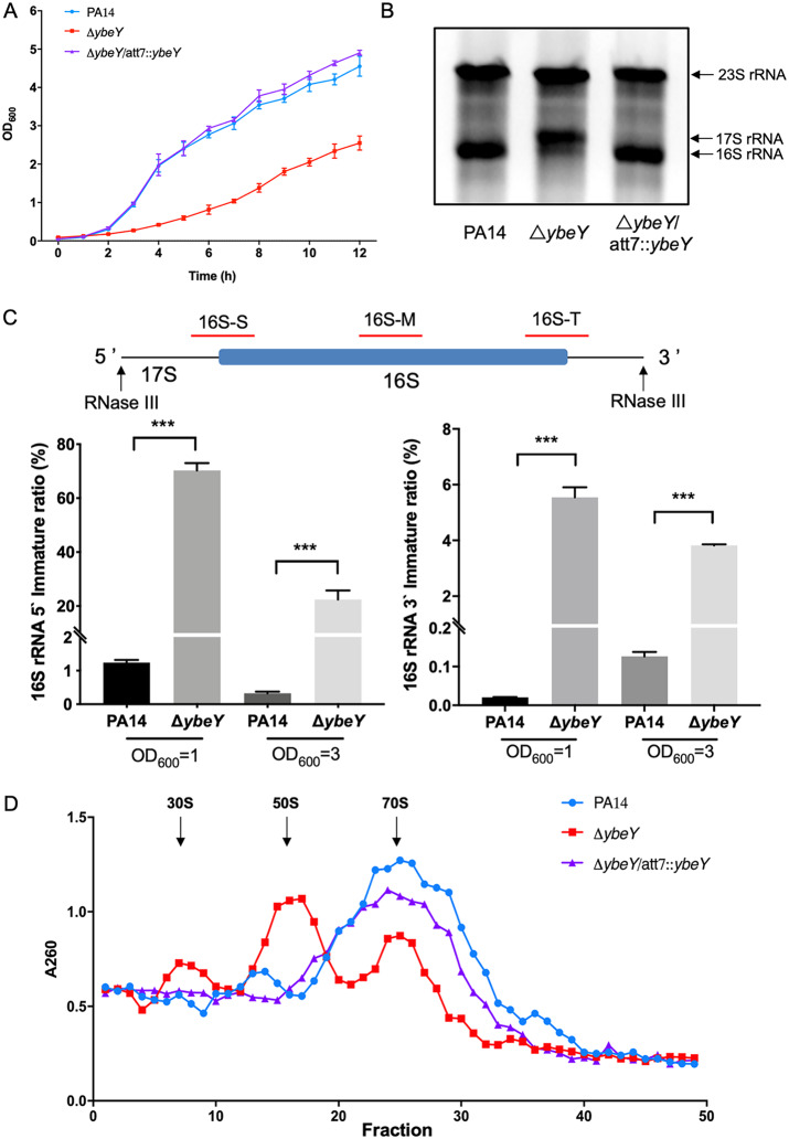 FIG 1