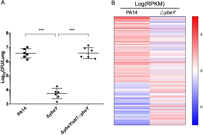 FIG 4