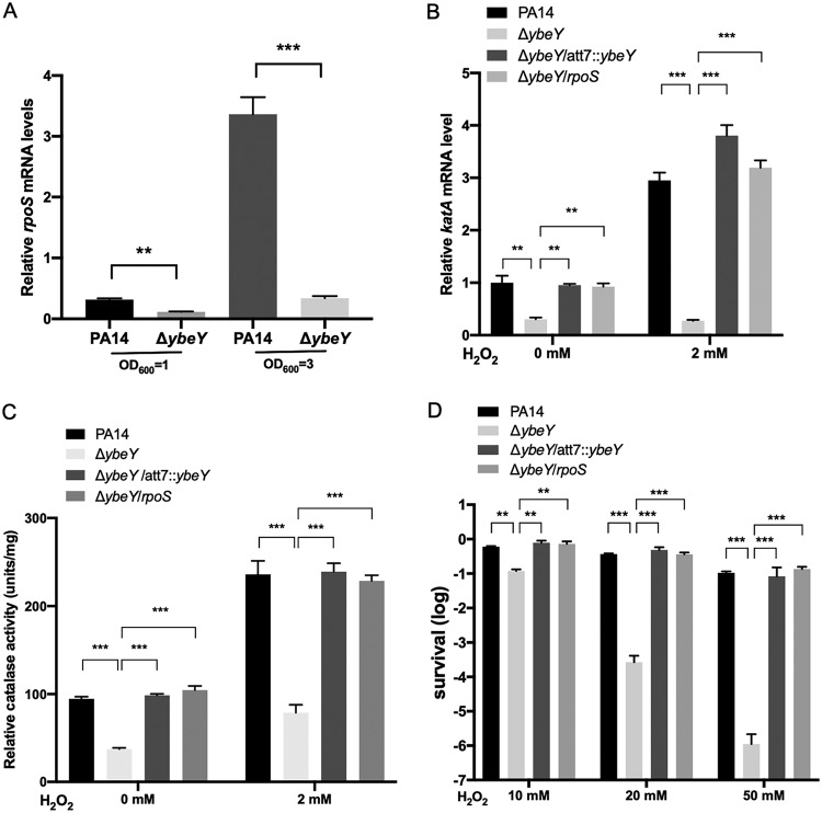 FIG 6