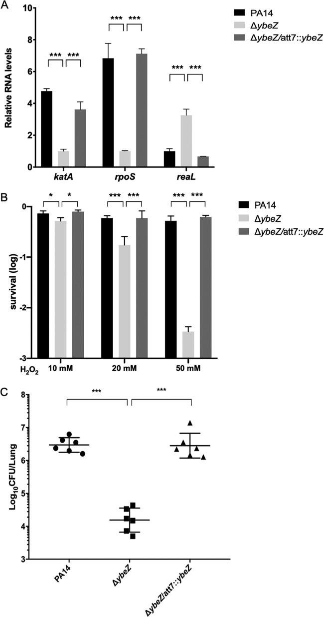 FIG 11