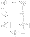 Scheme 2