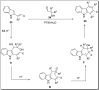 Scheme 6