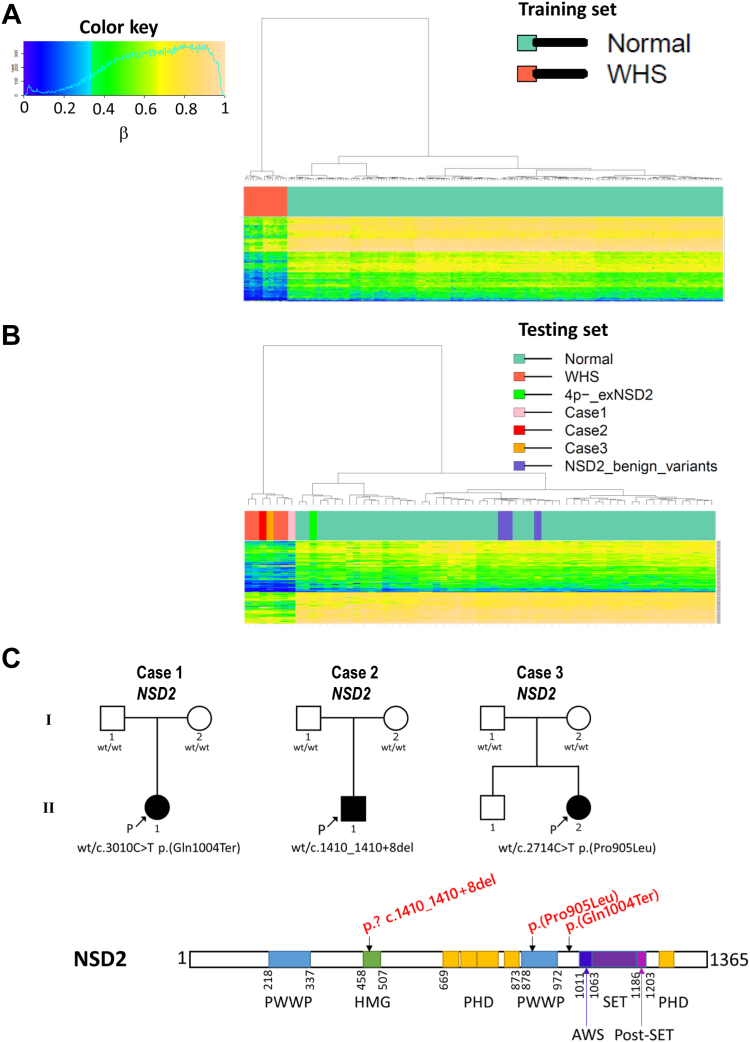 Figure 1