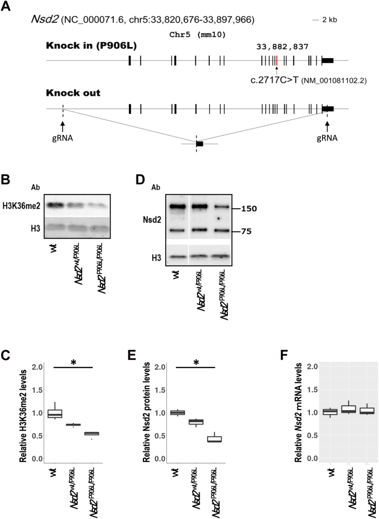 Figure 3