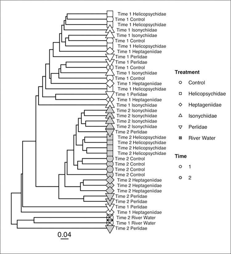 Fig 7