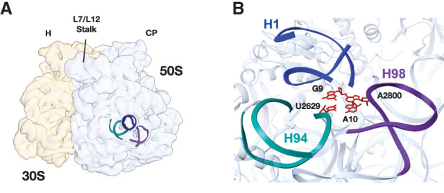 FIGURE 1.