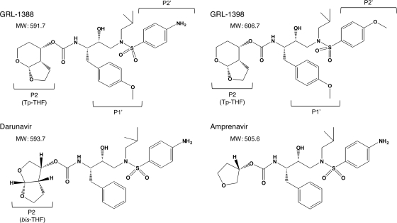 FIG. 1.