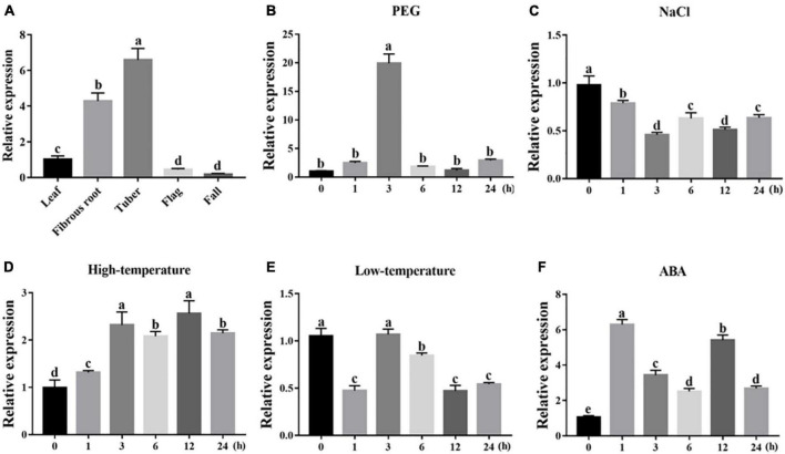 FIGURE 3