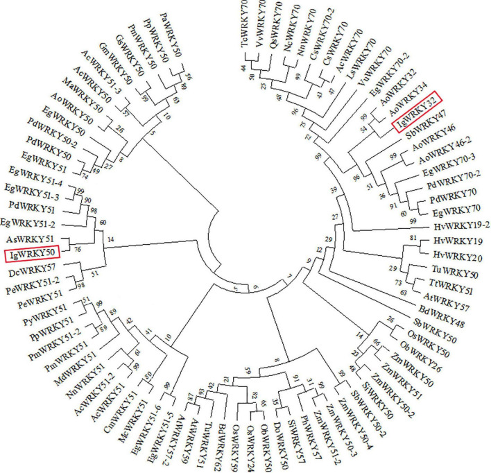 FIGURE 2