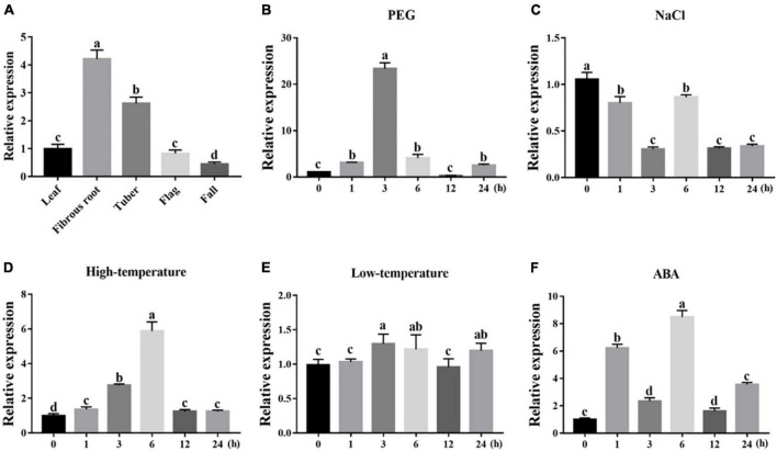 FIGURE 4