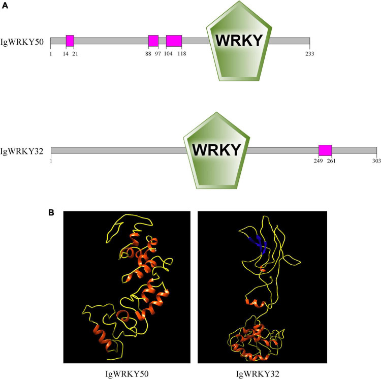 FIGURE 1