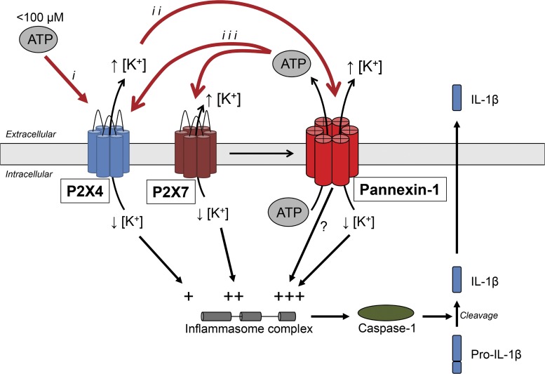 Figure 1.