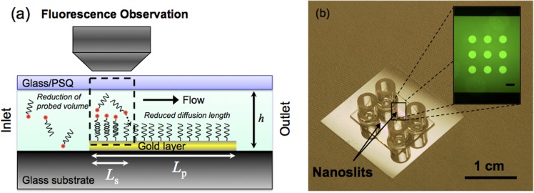 FIG. 1.