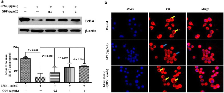 Fig. 7