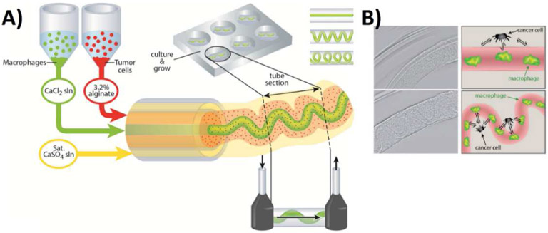 Figure 2: