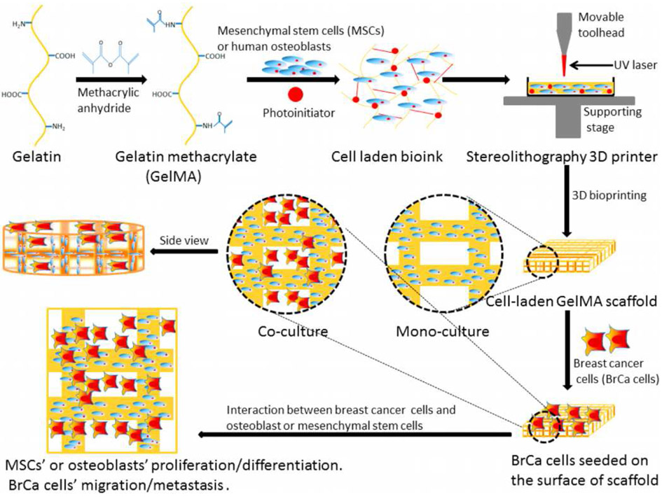 Figure 4: