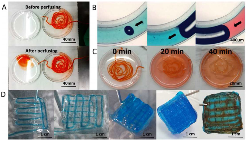 Figure 3: